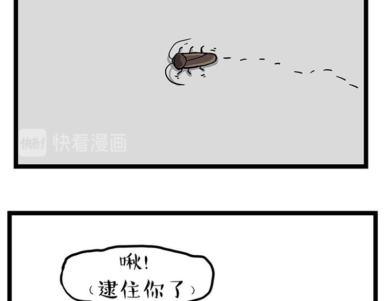 《吾皇巴扎黑》漫画最新章节第261话 灭蟑？免费下拉式在线观看章节第【23】张图片