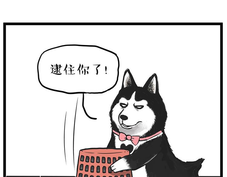 《吾皇巴扎黑》漫画最新章节第261话 灭蟑？免费下拉式在线观看章节第【29】张图片