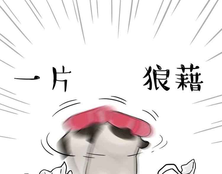 《吾皇巴扎黑》漫画最新章节第261话 灭蟑？免费下拉式在线观看章节第【6】张图片