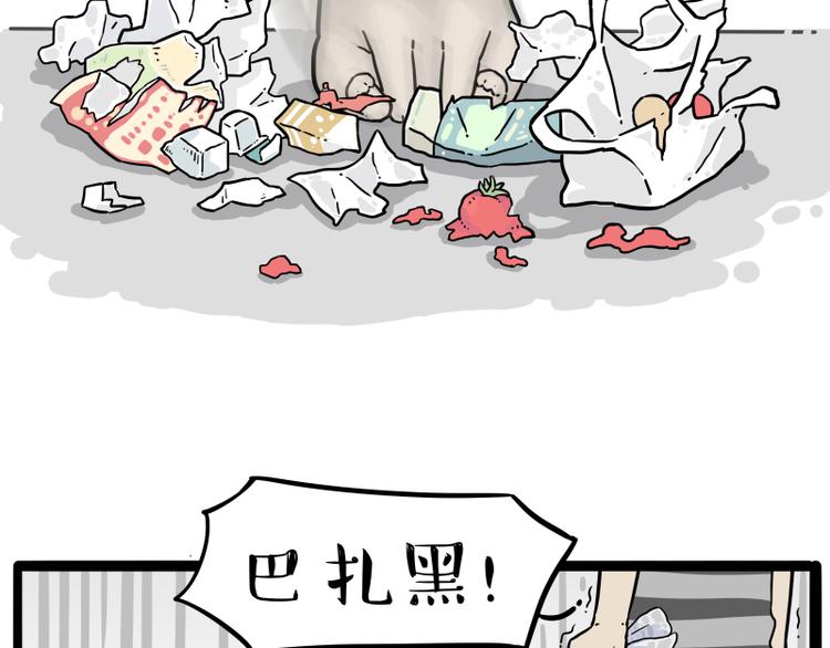 《吾皇巴扎黑》漫画最新章节第261话 灭蟑？免费下拉式在线观看章节第【7】张图片