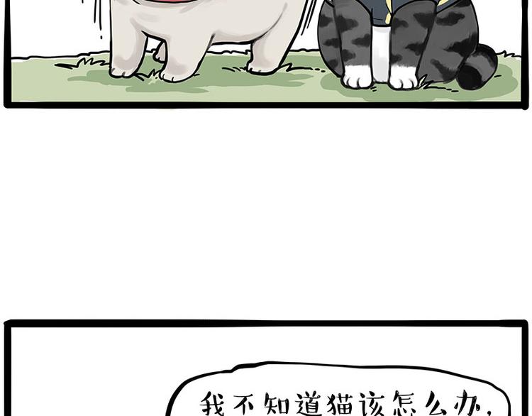 《吾皇巴扎黑》漫画最新章节第262话 忠犬巴扎黑？！免费下拉式在线观看章节第【24】张图片