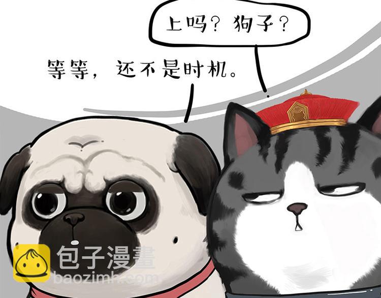 《吾皇巴扎黑》漫画最新章节第262话 忠犬巴扎黑？！免费下拉式在线观看章节第【31】张图片