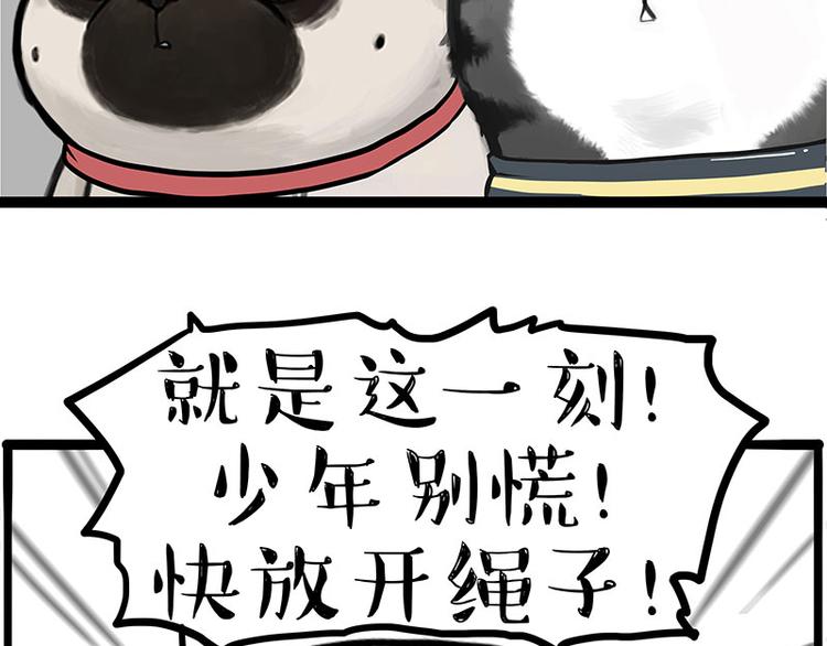 《吾皇巴扎黑》漫画最新章节第262话 忠犬巴扎黑？！免费下拉式在线观看章节第【44】张图片