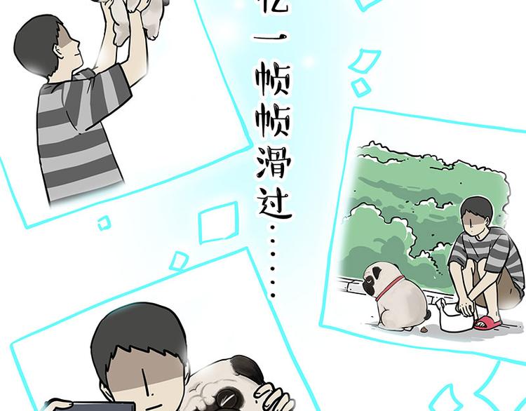 《吾皇巴扎黑》漫画最新章节第262话 忠犬巴扎黑？！免费下拉式在线观看章节第【52】张图片