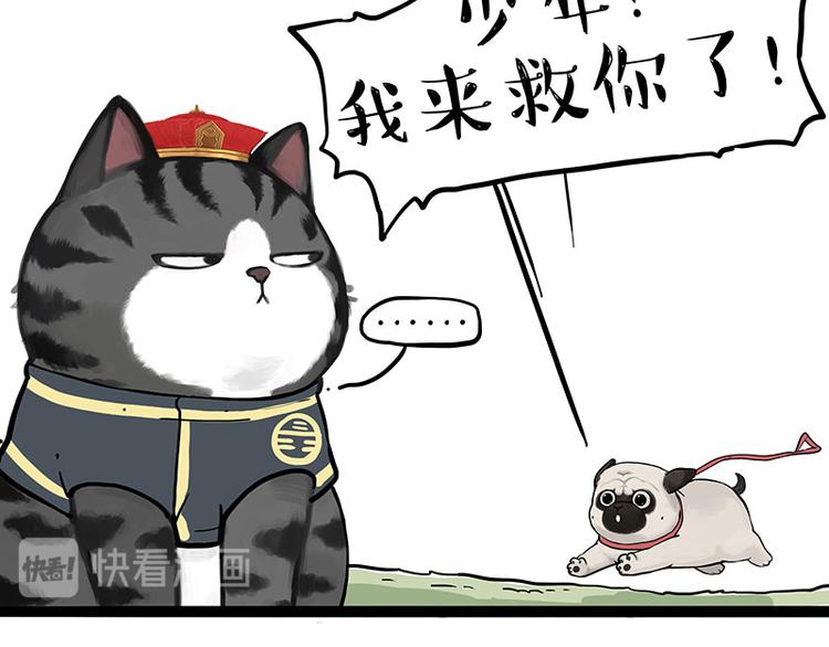 《吾皇巴扎黑》漫画最新章节第262话 忠犬巴扎黑？！免费下拉式在线观看章节第【56】张图片