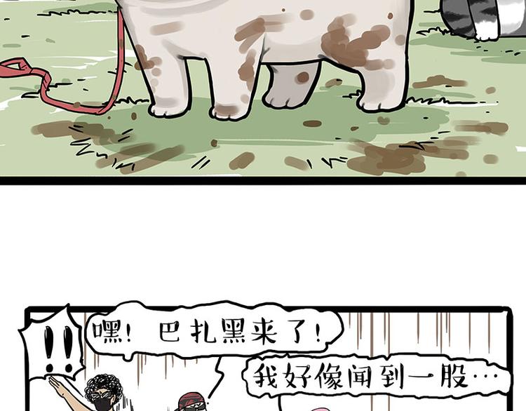 《吾皇巴扎黑》漫画最新章节第262话 忠犬巴扎黑？！免费下拉式在线观看章节第【61】张图片