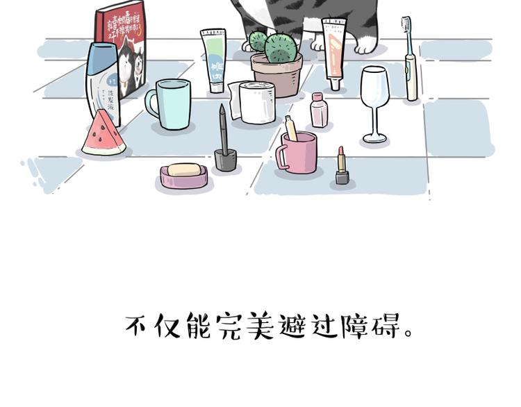 【吾皇巴扎黑】漫画-（第263话 没心没肺的快乐）章节漫画下拉式图片-20.jpg