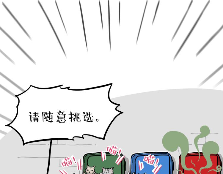 《吾皇巴扎黑》漫画最新章节第264话 父愁者联盟！免费下拉式在线观看章节第【21】张图片