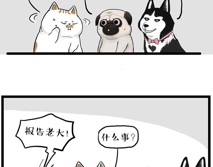 《吾皇巴扎黑》漫画最新章节第264话 父愁者联盟！免费下拉式在线观看章节第【51】张图片