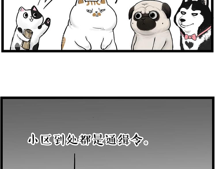 《吾皇巴扎黑》漫画最新章节第264话 父愁者联盟！免费下拉式在线观看章节第【52】张图片