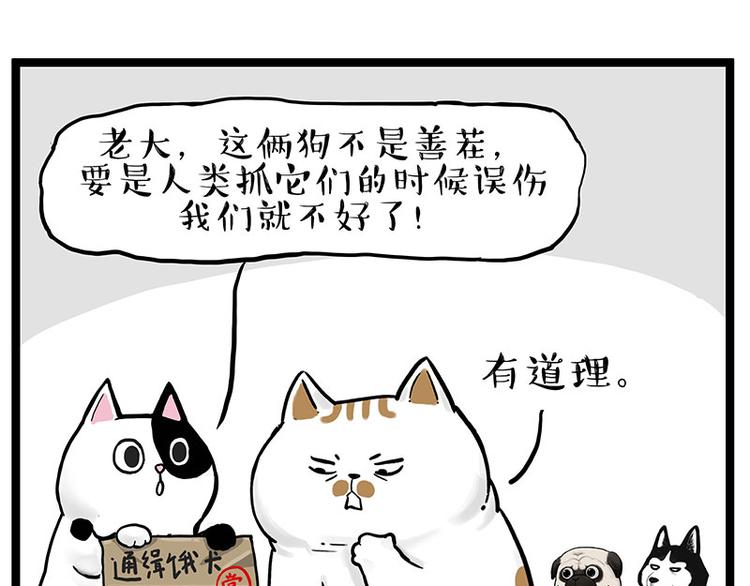 《吾皇巴扎黑》漫画最新章节第264话 父愁者联盟！免费下拉式在线观看章节第【54】张图片