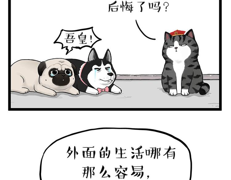 《吾皇巴扎黑》漫画最新章节第264话 父愁者联盟！免费下拉式在线观看章节第【70】张图片