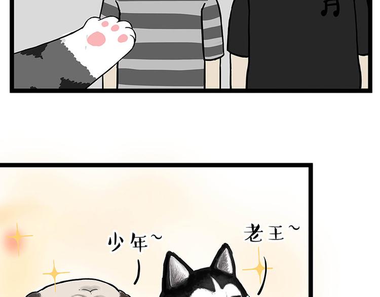 《吾皇巴扎黑》漫画最新章节第264话 父愁者联盟！免费下拉式在线观看章节第【73】张图片