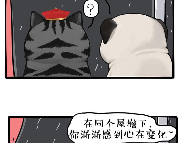 《吾皇巴扎黑》漫画最新章节第265话 雨夜“惊魂”免费下拉式在线观看章节第【4】张图片