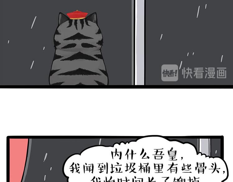 《吾皇巴扎黑》漫画最新章节第265话 雨夜“惊魂”免费下拉式在线观看章节第【8】张图片