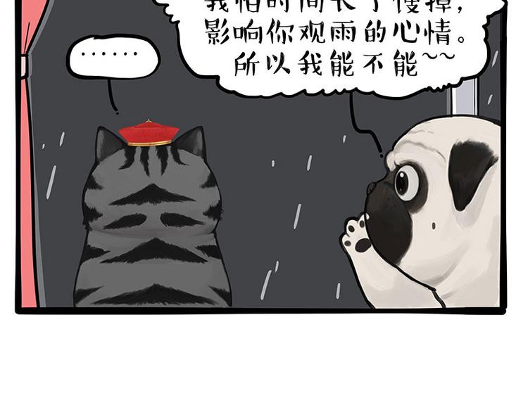 《吾皇巴扎黑》漫画最新章节第265话 雨夜“惊魂”免费下拉式在线观看章节第【9】张图片