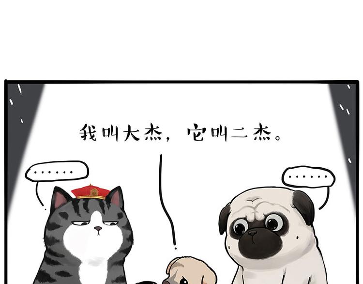 《吾皇巴扎黑》漫画最新章节第267话 不让你流浪免费下拉式在线观看章节第【17】张图片