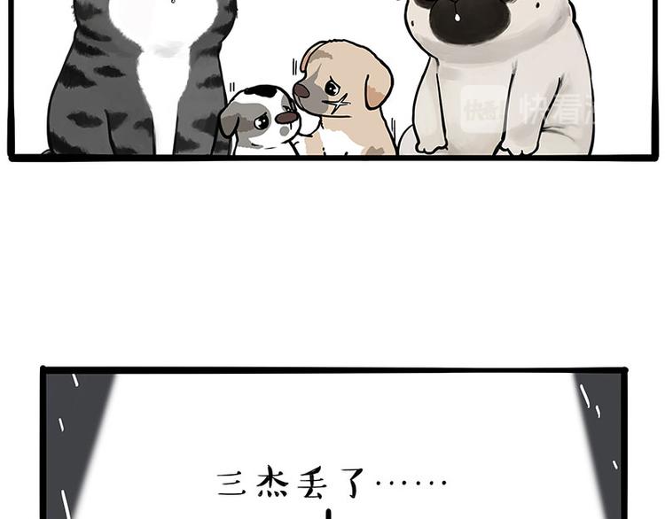 《吾皇巴扎黑》漫画最新章节第267话 不让你流浪免费下拉式在线观看章节第【19】张图片