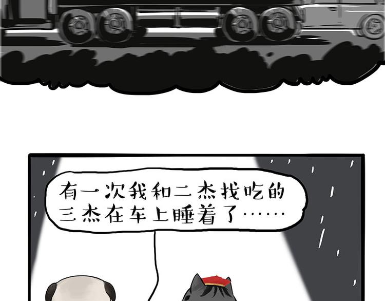 《吾皇巴扎黑》漫画最新章节第267话 不让你流浪免费下拉式在线观看章节第【21】张图片