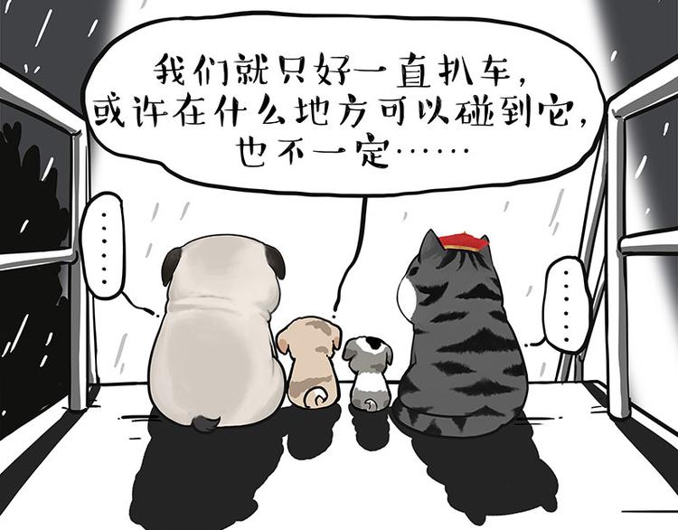 《吾皇巴扎黑》漫画最新章节第267话 不让你流浪免费下拉式在线观看章节第【25】张图片