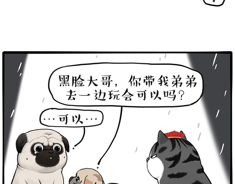 《吾皇巴扎黑》漫画最新章节第267话 不让你流浪免费下拉式在线观看章节第【27】张图片