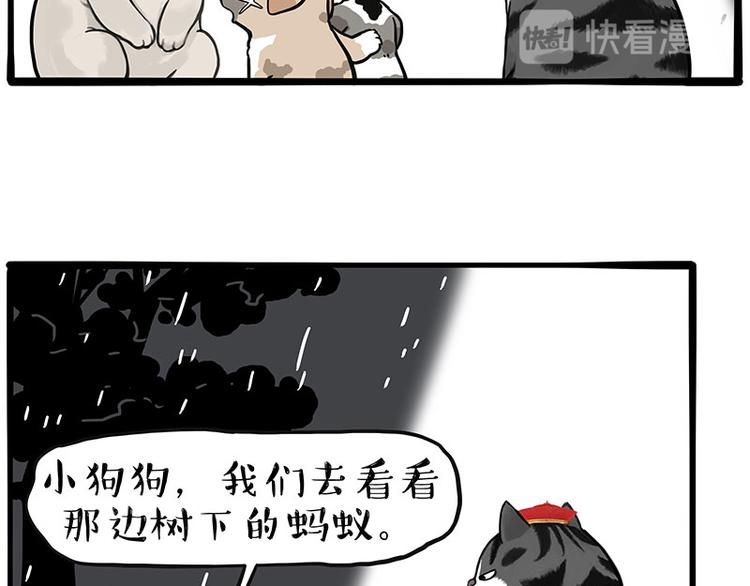 《吾皇巴扎黑》漫画最新章节第267话 不让你流浪免费下拉式在线观看章节第【28】张图片