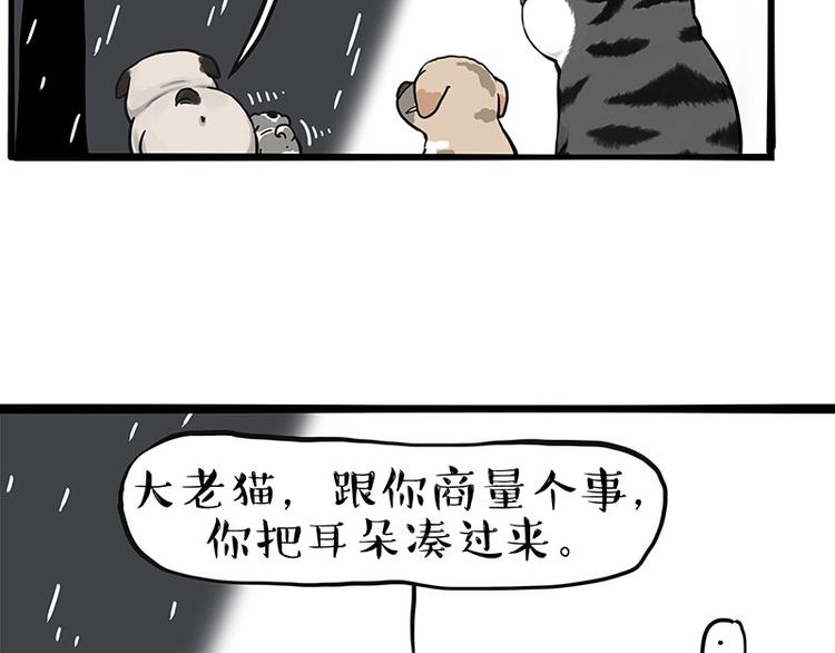 《吾皇巴扎黑》漫画最新章节第267话 不让你流浪免费下拉式在线观看章节第【29】张图片