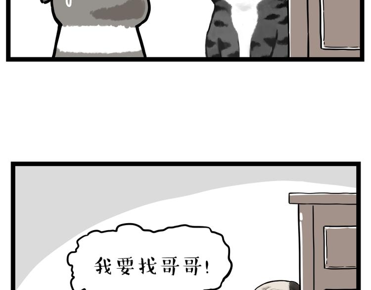 《吾皇巴扎黑》漫画最新章节第267话 不让你流浪免费下拉式在线观看章节第【52】张图片