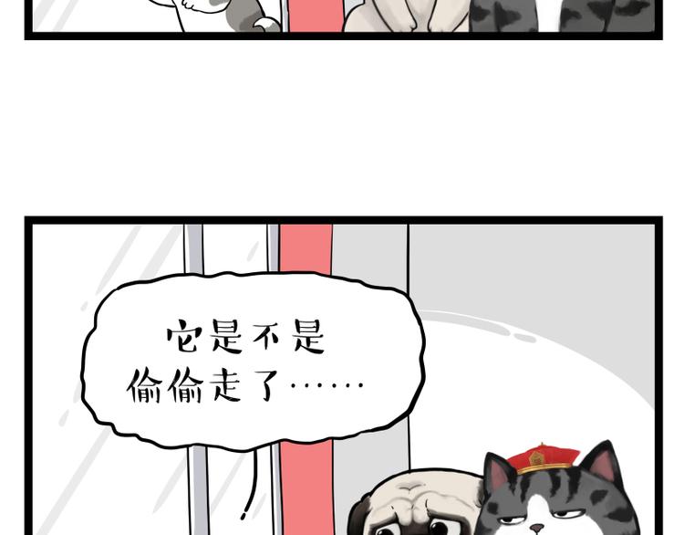 《吾皇巴扎黑》漫画最新章节第267话 不让你流浪免费下拉式在线观看章节第【58】张图片