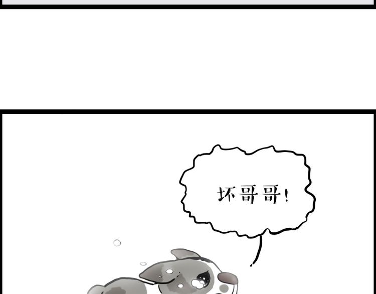 《吾皇巴扎黑》漫画最新章节第267话 不让你流浪免费下拉式在线观看章节第【64】张图片