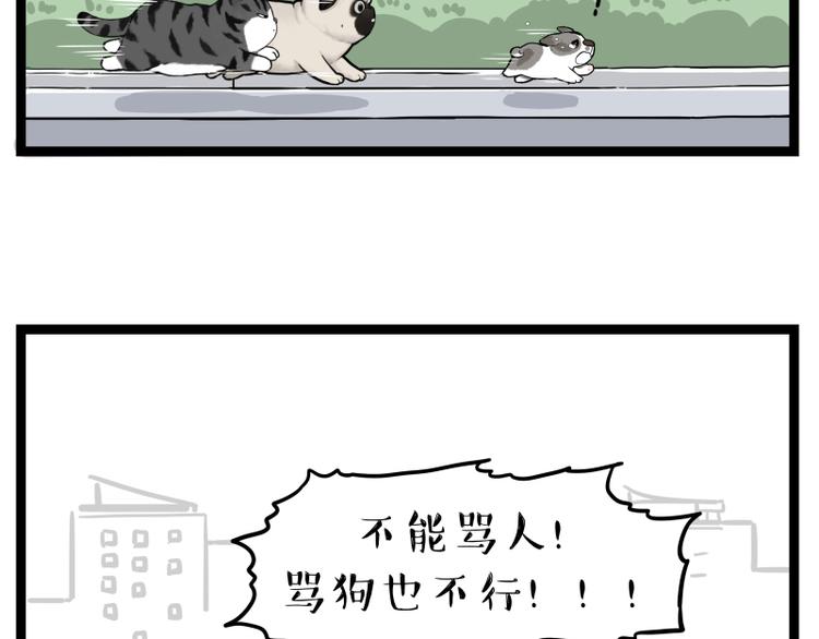 《吾皇巴扎黑》漫画最新章节第267话 不让你流浪免费下拉式在线观看章节第【69】张图片