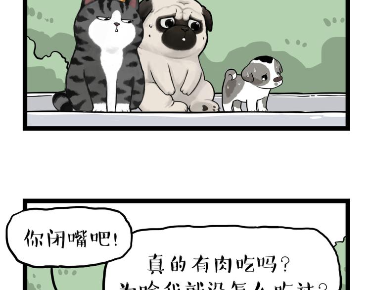 《吾皇巴扎黑》漫画最新章节第267话 不让你流浪免费下拉式在线观看章节第【74】张图片