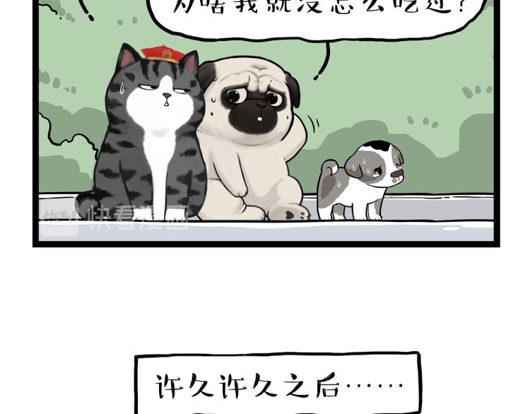 《吾皇巴扎黑》漫画最新章节第267话 不让你流浪免费下拉式在线观看章节第【75】张图片