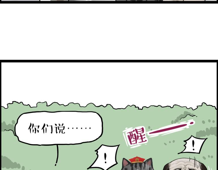 《吾皇巴扎黑》漫画最新章节第267话 不让你流浪免费下拉式在线观看章节第【77】张图片