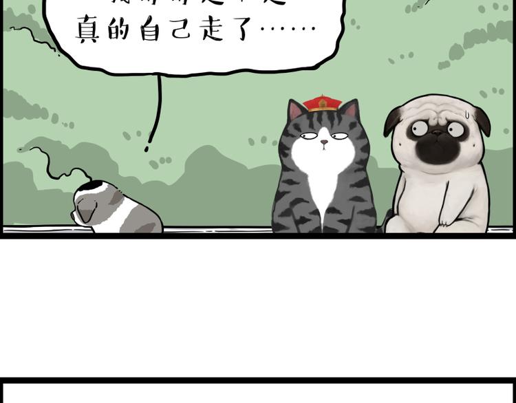 《吾皇巴扎黑》漫画最新章节第267话 不让你流浪免费下拉式在线观看章节第【79】张图片