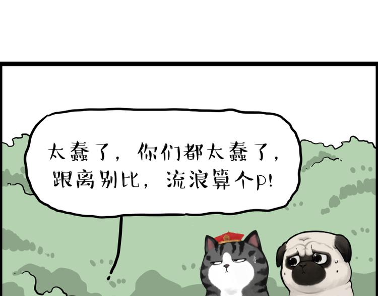 《吾皇巴扎黑》漫画最新章节第267话 不让你流浪免费下拉式在线观看章节第【81】张图片