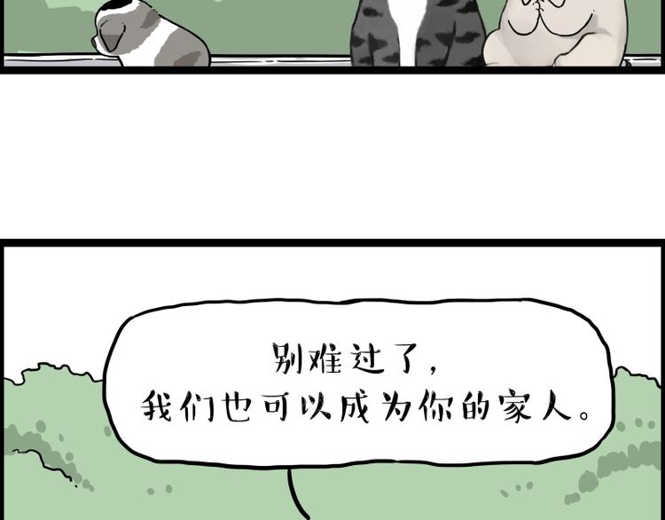 《吾皇巴扎黑》漫画最新章节第267话 不让你流浪免费下拉式在线观看章节第【84】张图片