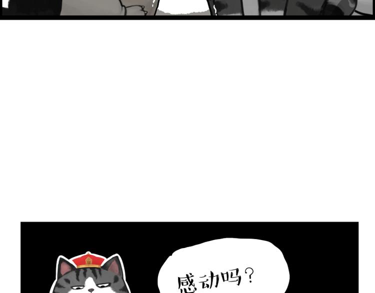 《吾皇巴扎黑》漫画最新章节第267话 不让你流浪免费下拉式在线观看章节第【93】张图片