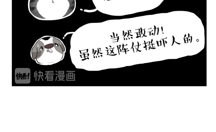 《吾皇巴扎黑》漫画最新章节第267话 不让你流浪免费下拉式在线观看章节第【94】张图片