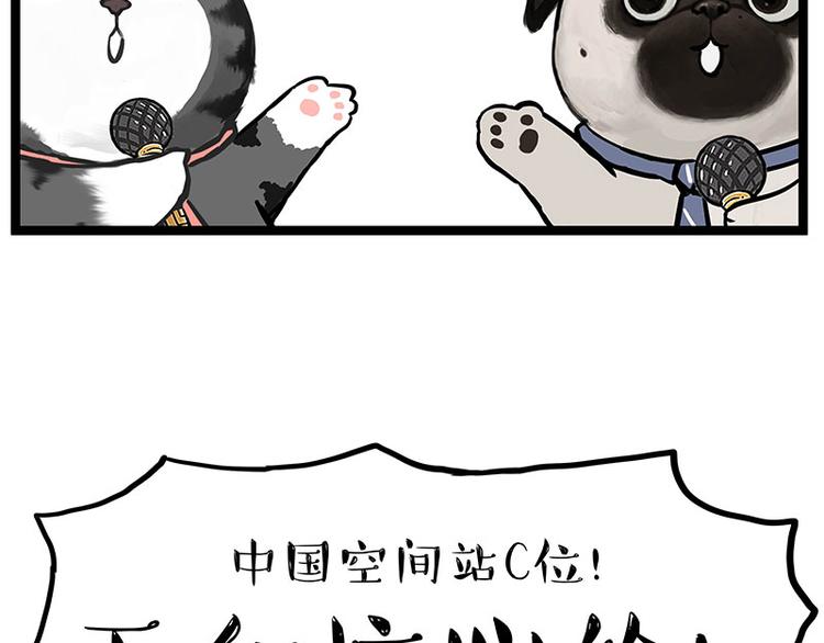 《吾皇巴扎黑》漫画最新章节第268话 想在太空有个家免费下拉式在线观看章节第【7】张图片