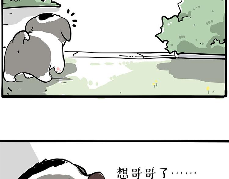 《吾皇巴扎黑》漫画最新章节第270话 胖老猫你个大骗子！免费下拉式在线观看章节第【18】张图片