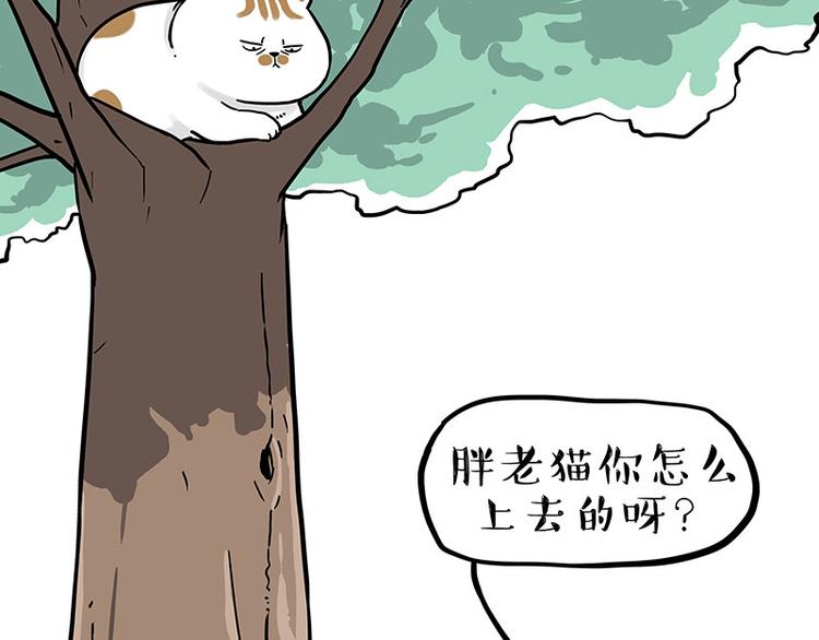 《吾皇巴扎黑》漫画最新章节第270话 胖老猫你个大骗子！免费下拉式在线观看章节第【22】张图片