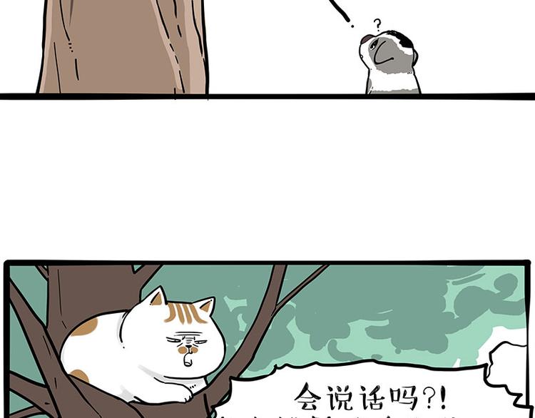 《吾皇巴扎黑》漫画最新章节第270话 胖老猫你个大骗子！免费下拉式在线观看章节第【23】张图片