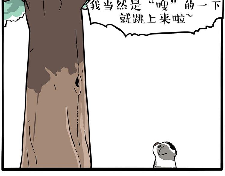 《吾皇巴扎黑》漫画最新章节第270话 胖老猫你个大骗子！免费下拉式在线观看章节第【24】张图片