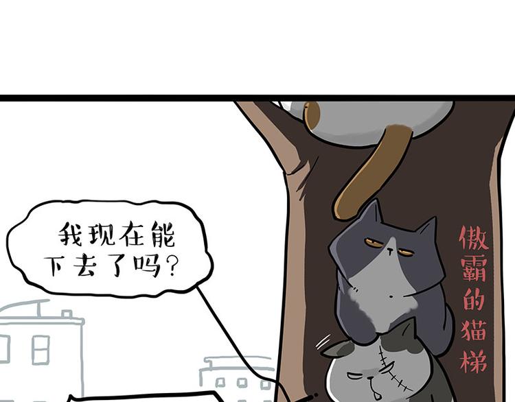 《吾皇巴扎黑》漫画最新章节第270话 胖老猫你个大骗子！免费下拉式在线观看章节第【25】张图片