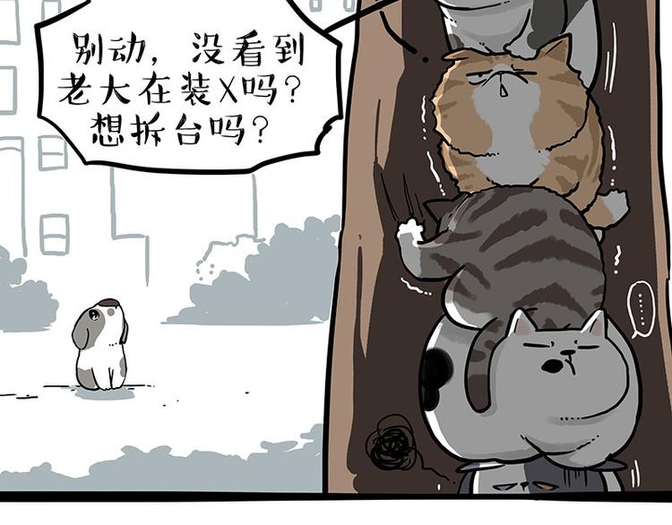 《吾皇巴扎黑》漫画最新章节第270话 胖老猫你个大骗子！免费下拉式在线观看章节第【26】张图片