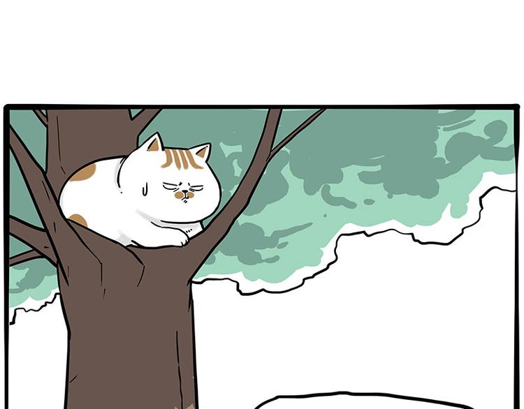 《吾皇巴扎黑》漫画最新章节第270话 胖老猫你个大骗子！免费下拉式在线观看章节第【27】张图片