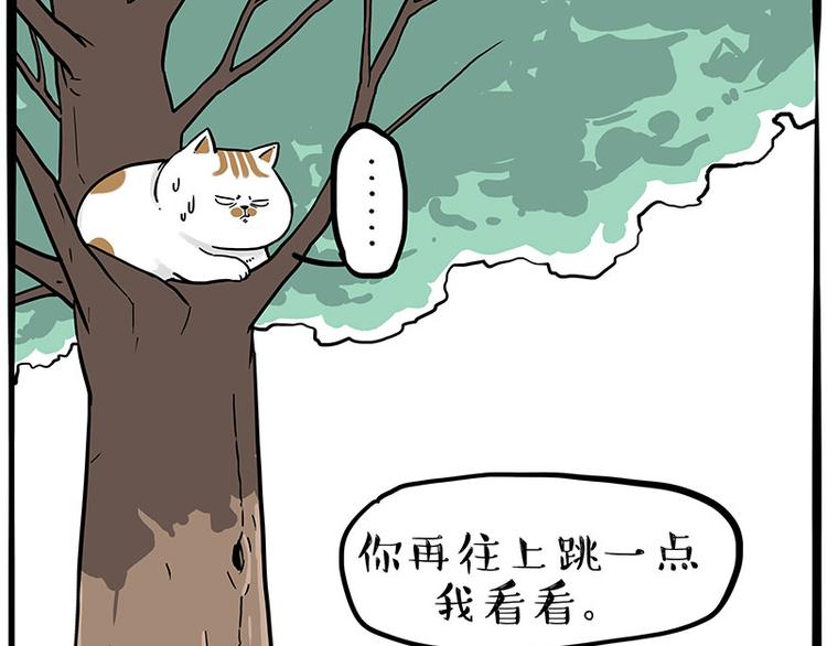 《吾皇巴扎黑》漫画最新章节第270话 胖老猫你个大骗子！免费下拉式在线观看章节第【29】张图片