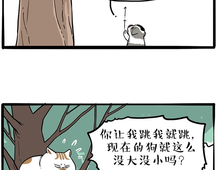 《吾皇巴扎黑》漫画最新章节第270话 胖老猫你个大骗子！免费下拉式在线观看章节第【30】张图片