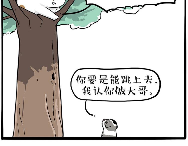 《吾皇巴扎黑》漫画最新章节第270话 胖老猫你个大骗子！免费下拉式在线观看章节第【31】张图片